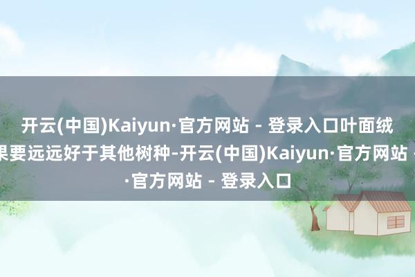 开云(中国)Kaiyun·官方网站 - 登录入口叶面绒毛滞尘后果要远远好于其他树种-开云(中国)Kaiyun·官方网站 - 登录入口