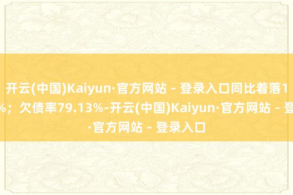 开云(中国)Kaiyun·官方网站 - 登录入口同比着落112.85%；欠债率79.13%-开云(中国)Kaiyun·官方网站 - 登录入口