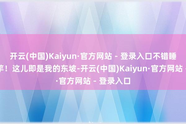 开云(中国)Kaiyun·官方网站 - 登录入口不错睡到日上三竿！这儿即是我的东坡-开云(中国)Kaiyun·官方网站 - 登录入口