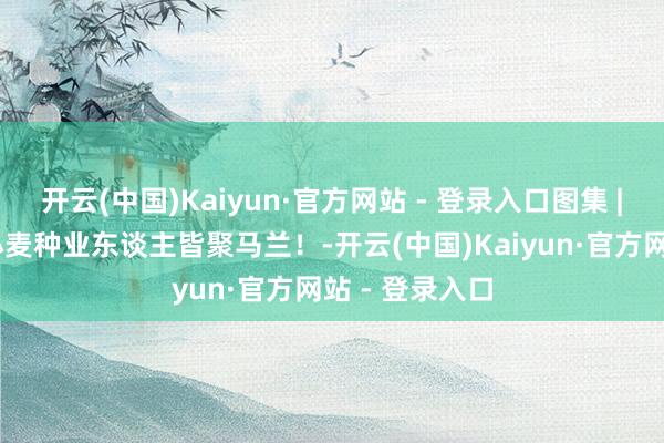 开云(中国)Kaiyun·官方网站 - 登录入口图集 | 麦浪翻涌，小麦种业东谈主皆聚马兰！-开云(中国)Kaiyun·官方网站 - 登录入口