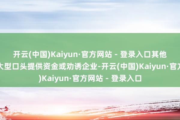 开云(中国)Kaiyun·官方网站 - 登录入口其他欧洲国度难以为大型口头提供资金或劝诱企业-开云(中国)Kaiyun·官方网站 - 登录入口