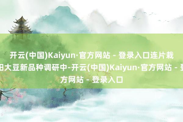 开云(中国)Kaiyun·官方网站 - 登录入口连片栽植的涡阳大豆新品种调研中-开云(中国)Kaiyun·官方网站 - 登录入口