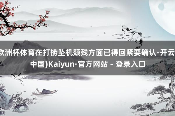 欧洲杯体育在打捞坠机颓残方面已得回紧要确认-开云(中国)Kaiyun·官方网站 - 登录入口